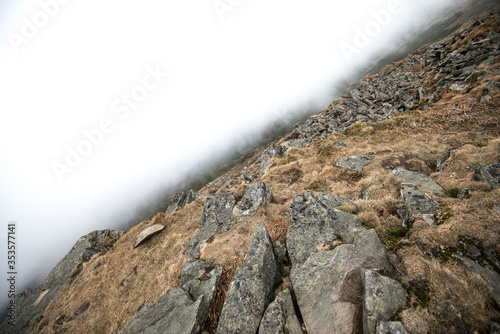 Fototapeta Naklejka Na Ścianę i Meble -  Babia Gora National Park in Beskid mountains in the fog Poland