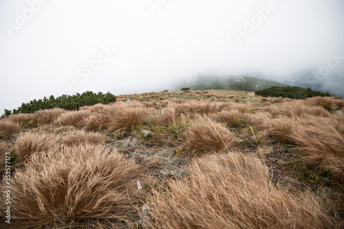 Fototapeta Naklejka Na Ścianę i Meble -  Babia Gora National Park in Beskid mountains in the fog Poland
