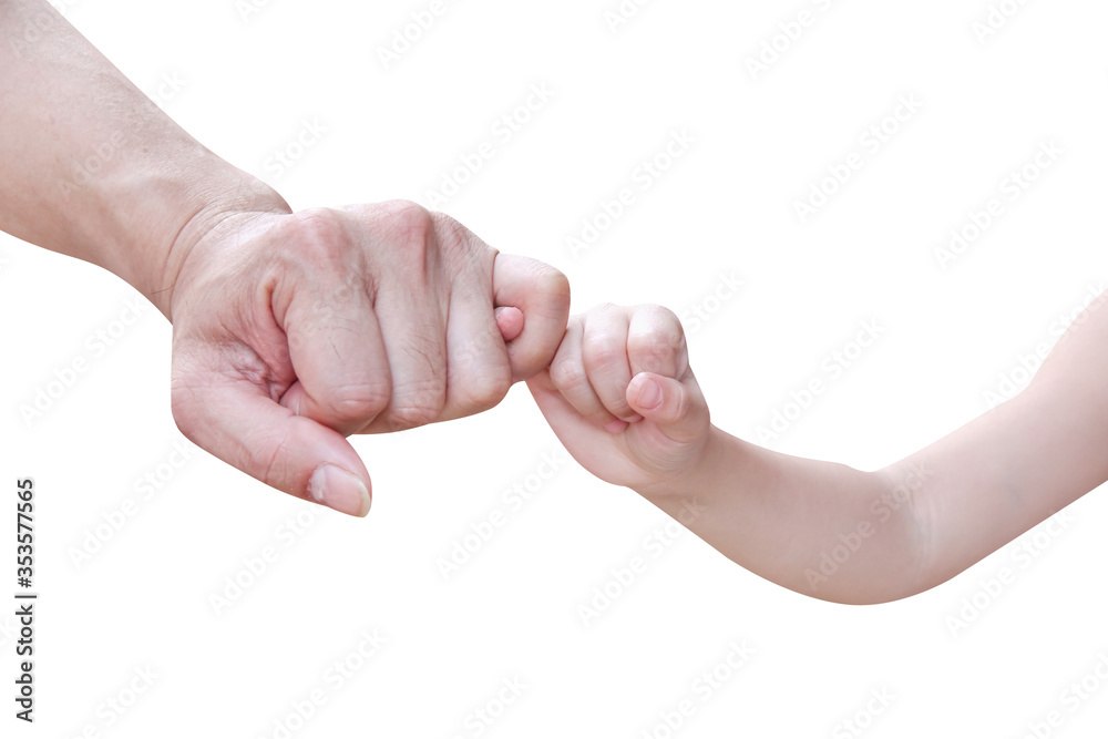 Father's day . Asian father hand holding her daughter hand making a pinkie  promise isolated on white background ,clipping path Stock Photo | Adobe  Stock