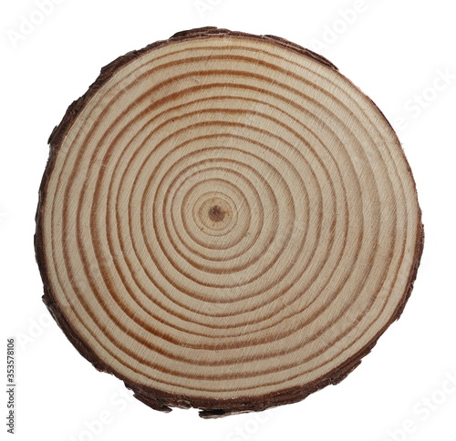 Fototapeta Naklejka Na Ścianę i Meble -  Tree trunk cross section, wooden stump isolated on white background