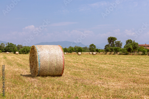 Hay rolls on a village field in northern Italy. Beautiful sunny summer day
