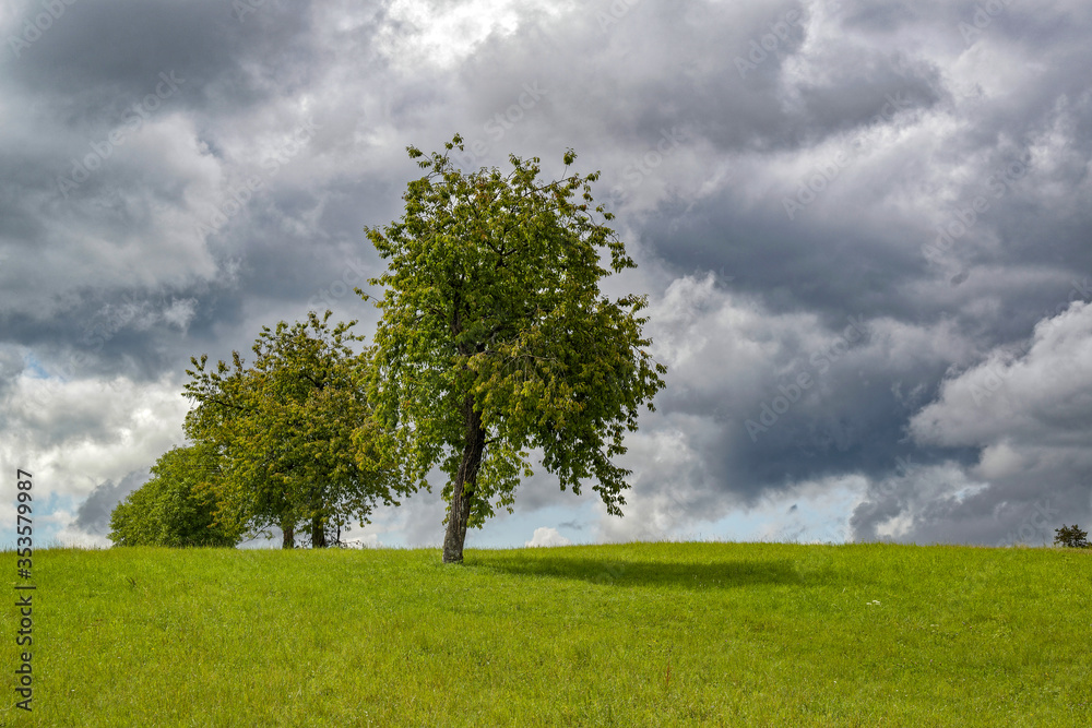 Obraz premium Paysage de campagne par un jour d'été orageux