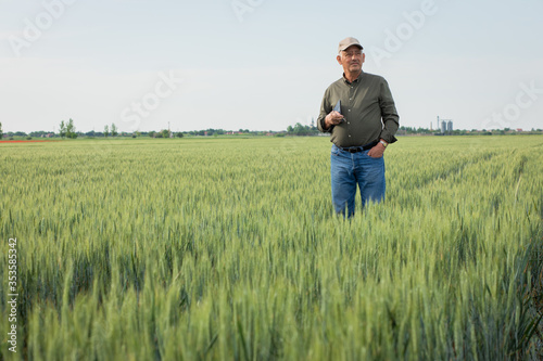 Senior farmer standing in wheat field holding tablet and examining crop during the day. © Zoran Zeremski