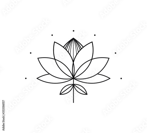 A Beautiful and delicate Fynbos Protea Line Icon 