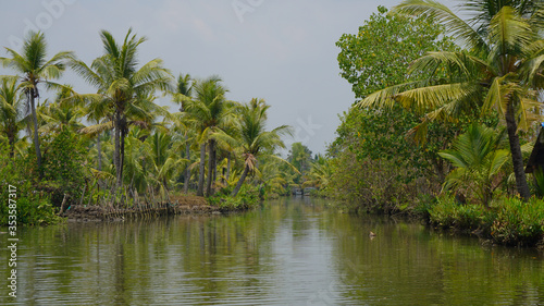 Munroe Island Backwater canals, the ideal place for Canoe Tours and canal boat ride situated at Backwaters of Kollam Kerala India.