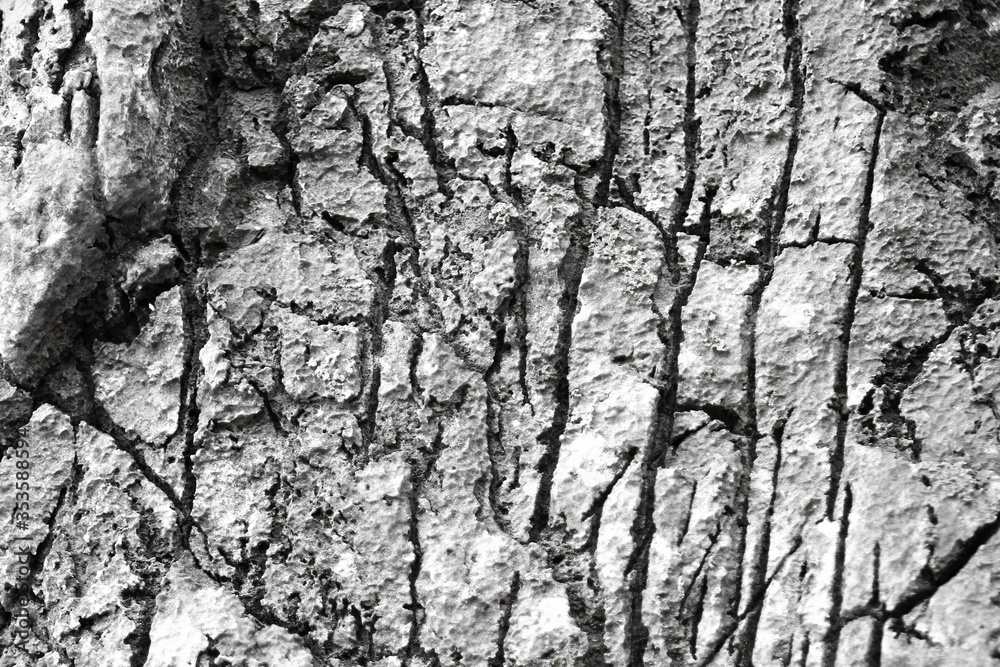 grunge shabby lichen on castle wall texture - pretty abstract photo background grunge shabby lichen on castle wall texture - pretty abstract photo background