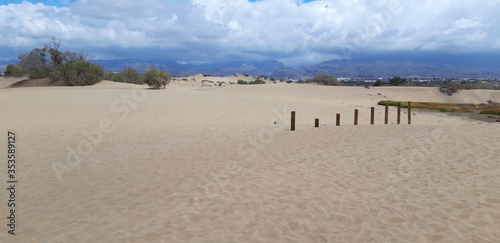 sand dunes and beach