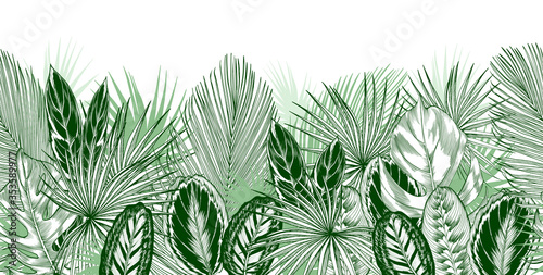 Endless horizontal border with green tropical palm and ornamental leaves. photo