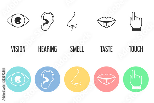 Five senses icon set. Vector isolated illustration