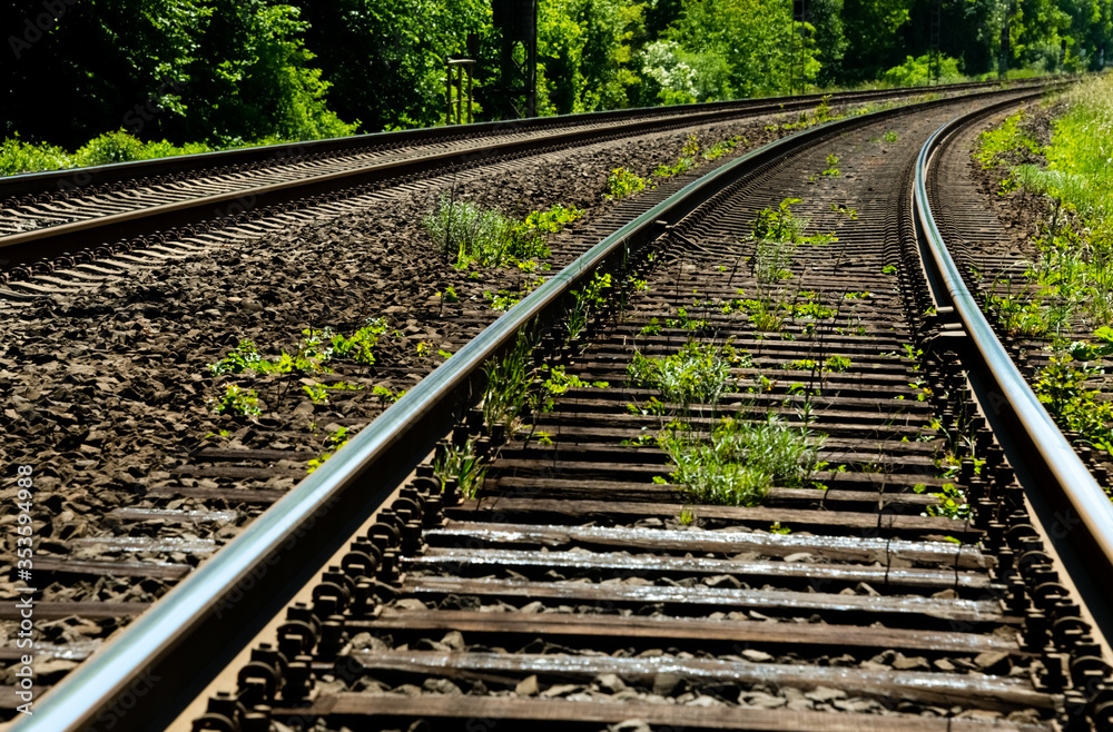 Obraz premium Schienen Gleise Eisenbahn Bahnstrecke Kurve Deutschland grün Unkraut Vegetation Natur Bäume Schwellen Railway Tracks Curve Germany Bogen parallel Zukunft Perspektive Infrastruktur Lennetal Werdohl