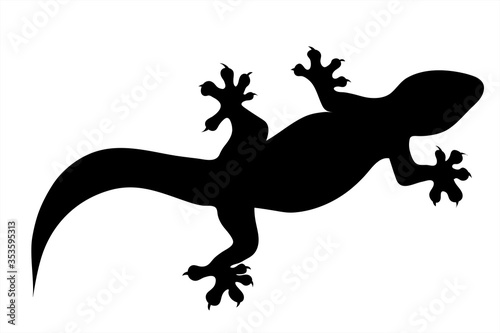 Vector silhouette of lizard on white background. Symbol of animal.