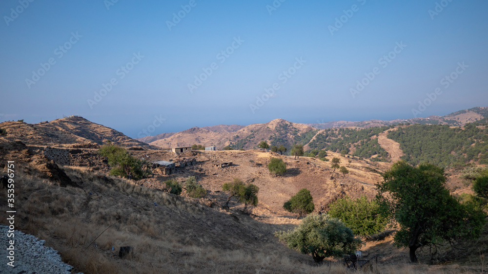 Mediterranean terrain hills and olive trees Mediterranean terrain hills and olive trees