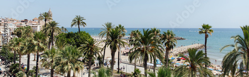 Panoramic shot of palm trees on sea coast in Catalonia  Spain