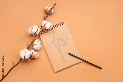 Beautiful cotton flowers and notebook with drawing on color background