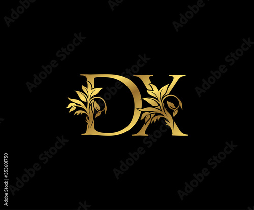 Classy Gold letter D, X and DX Vintage decorative ornament letter stamp, wedding logo, classy letter logo icon. © bintank