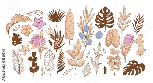 Big set of tropical leaves and flowers, vector illustration. Trendy beige colors