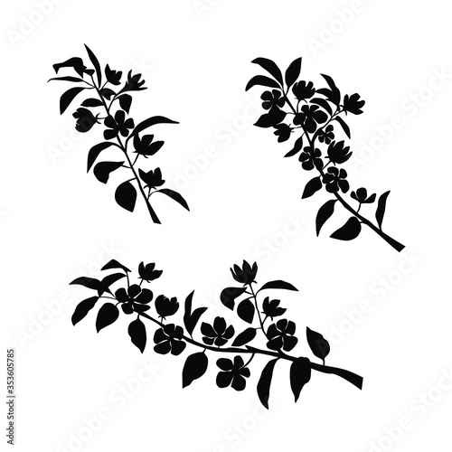 Vector silhouettes of the branch of Apple or cherry trees with flowers  black color  isolated on white background