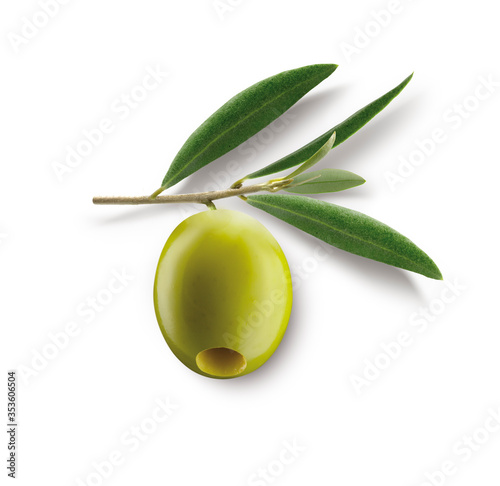 Oliva verde con rama y hojas sobre fondo blanco. Green olive with branch and leaves on white background.