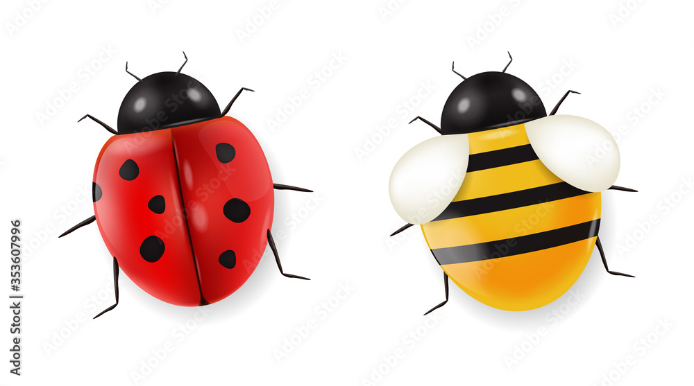 Realistic ladybug and bee set isolated, hello spring, sale banner, yellow and red insect, beauty bee detail, white background vector, graphic spring card