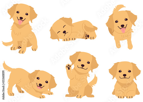 The collection of golden retriever in many action. Graphic resource about golden retriever for graphic, content, etc. 