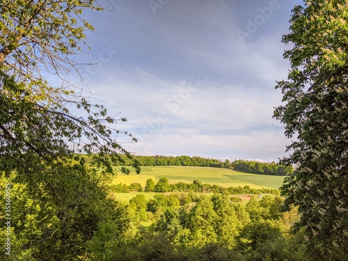 Countryside scene of fields and trees on a spring day