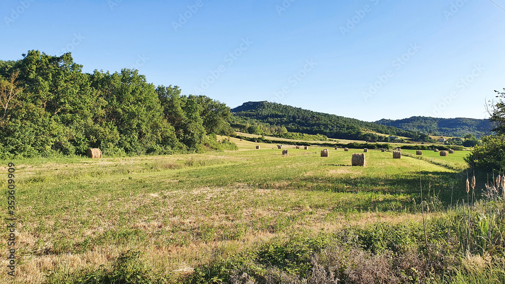 Country landscape with hay bales on the field.