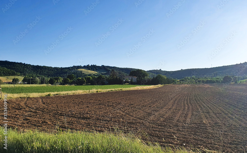 Landscape of cultivated fields in Umbria, Italy.