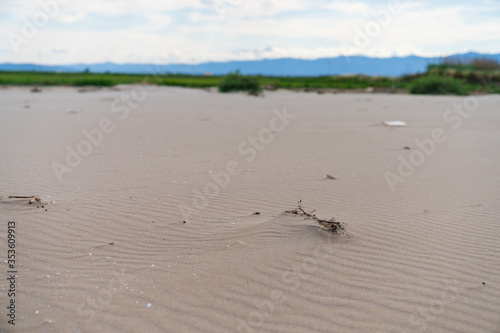 DELTA DEL EBRE, TARRAGONA, CATALUNYA, SPAIN - JUNE 5, 2019: Beach of "punta del fangar" Bird breeding reserve.