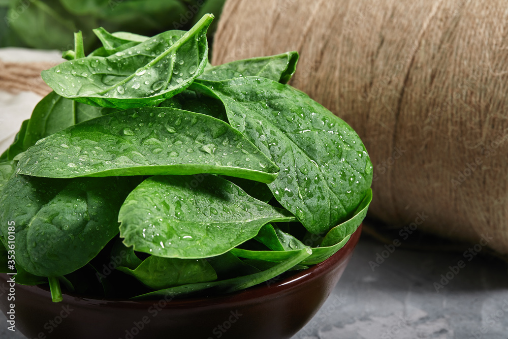 Fresh, crispy spinach leaves, freshly picked with morning dew on the leaves. Spinach rich in useful materials and iron. Fresh, crispy spinach leaves, freshly picked with morning dew on the leaves. Spinach rich in useful materials and iron.