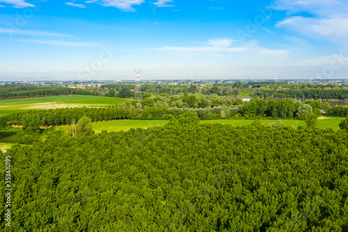 Φωτογραφία poplars view using drone
