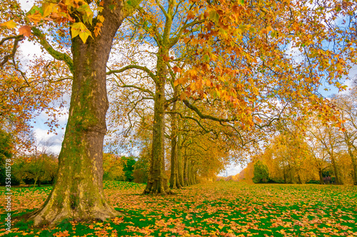 Beautiful Kensington Gardens the Royal Parks for walked and relaxed  London