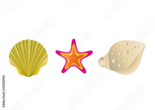 Sea shells