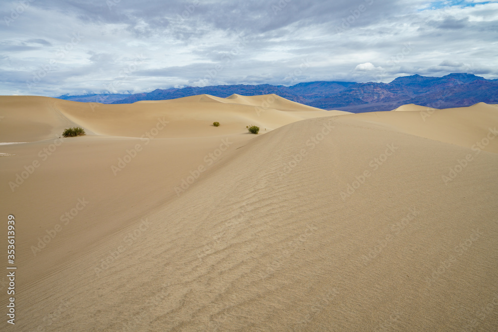 mesquite flat sand dunes in death valley national park in california, usa mesquite flat sand dunes in death valley national park in california, usa