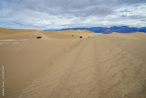 mesquite flat sand dunes in death valley national park in california  usa