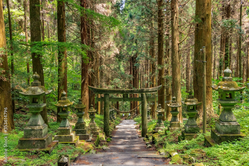 上色見熊野座神社 熊本県高森町 Kamishikimikumanoimasu
Shrine Kumamoto Takamori town 上色見熊野座神社 熊本県高森町 Kamishikimikumanoimasu
Shrine Kumamoto Takamori town
