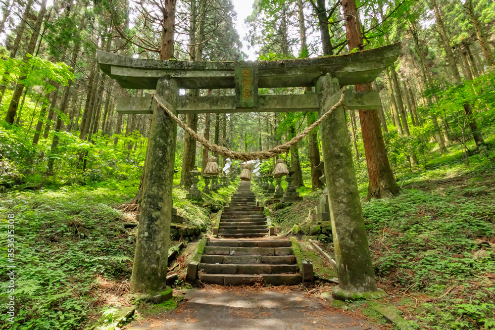 上色見熊野座神社 熊本県高森町 Kamishikimikumanoimasu
Shrine Kumamoto Takamori town 上色見熊野座神社 熊本県高森町 Kamishikimikumanoimasu
Shrine Kumamoto Takamori town