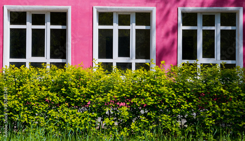 A bright pink building with large Windows surrounded by bright green trees and shrubs
