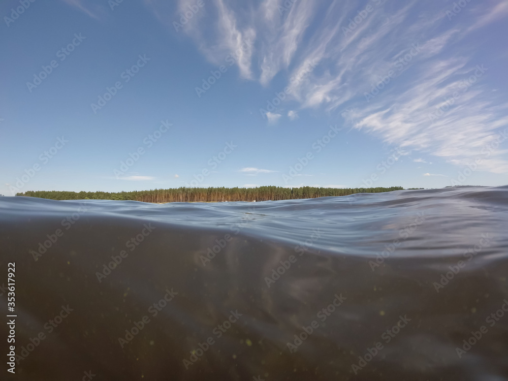 Under water, sky, lake and forest in the distance.