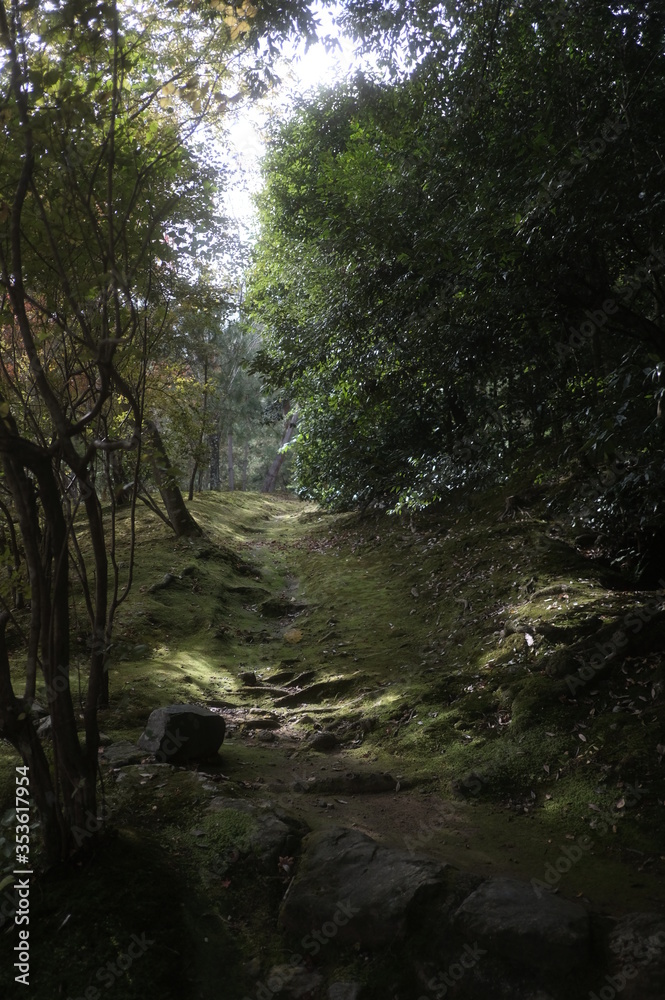 Fototapeta premium 龍安寺