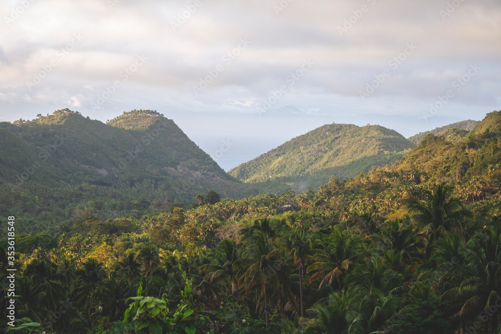 Fototapeta premium Beautiful landscape in Cebu near to Osmena Peak, Philippines