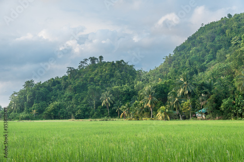 Sipalay, Negros Island, Visayas and The Philippines photo