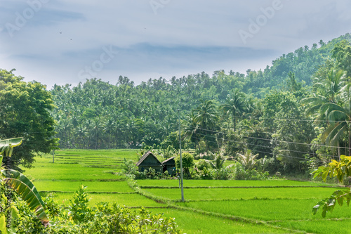 Sipalay, Negros Island, Visayas and The Philippines photo