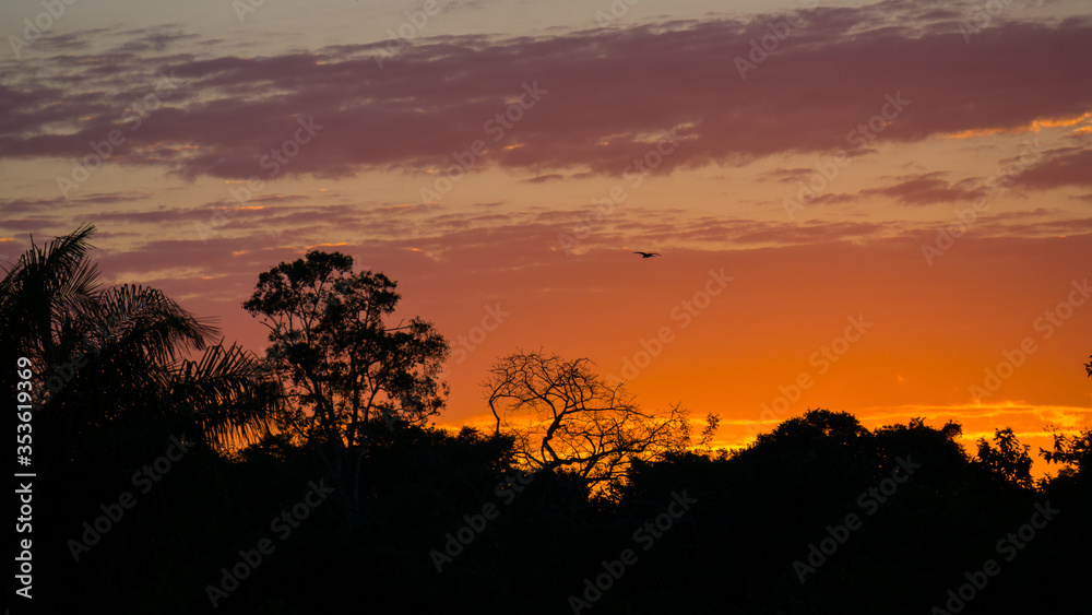 Sunset in pantanal