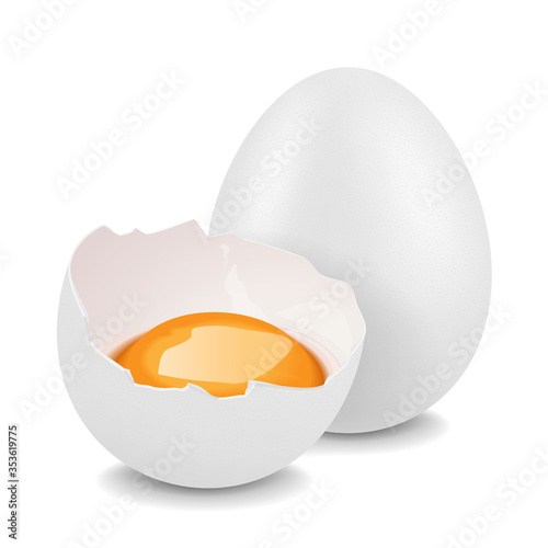 chicken egg vector