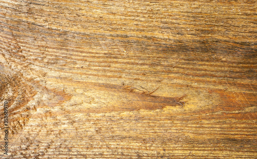 texture of wood background. Wooden surface close-up..