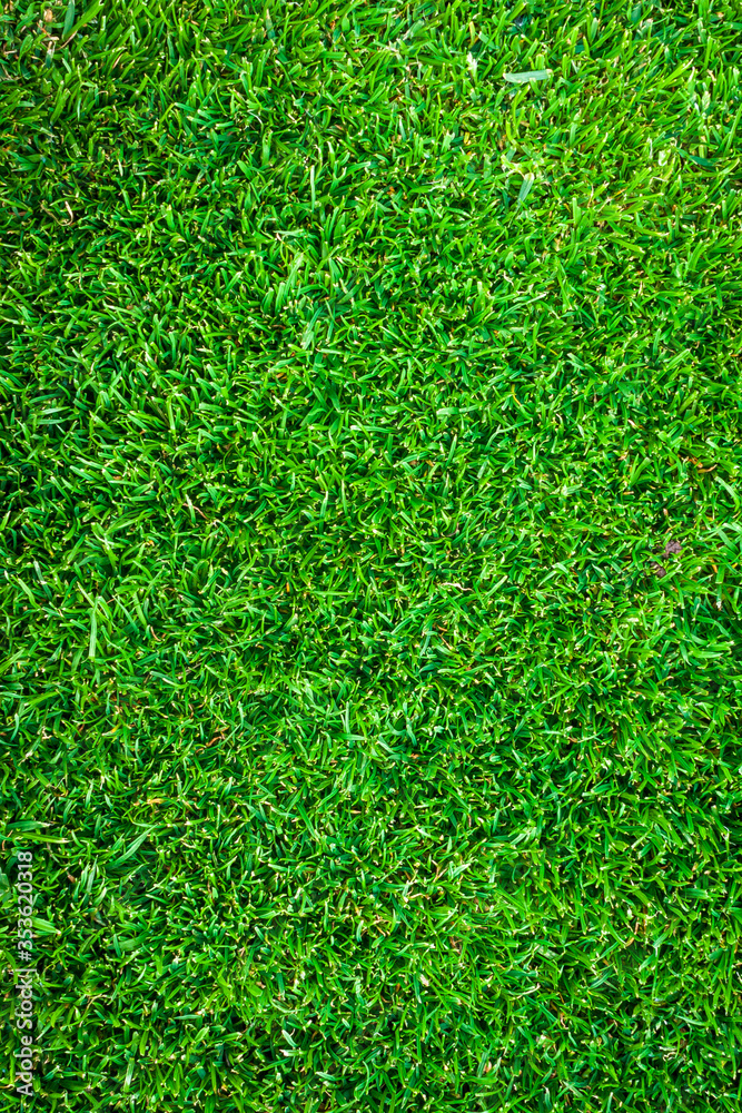 Full frame of green lawn as background. Full frame of green lawn as background.