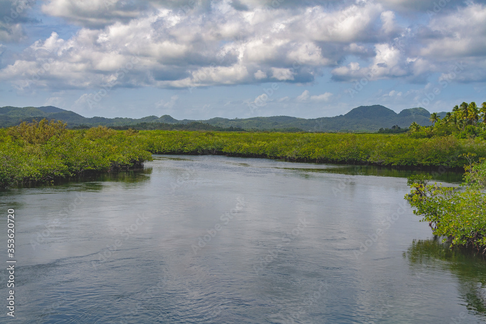 Beautiful river scenery with mangrove trees in Siargao, Philippines