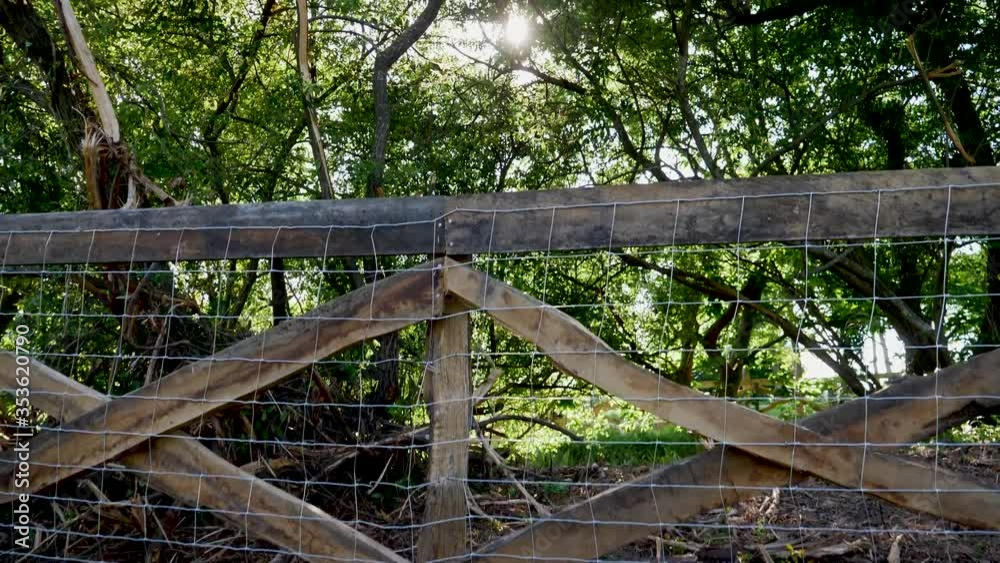 Walking pov wooden fence, sun between branches of trees. Walking pov wooden fence, sun between branches of trees.