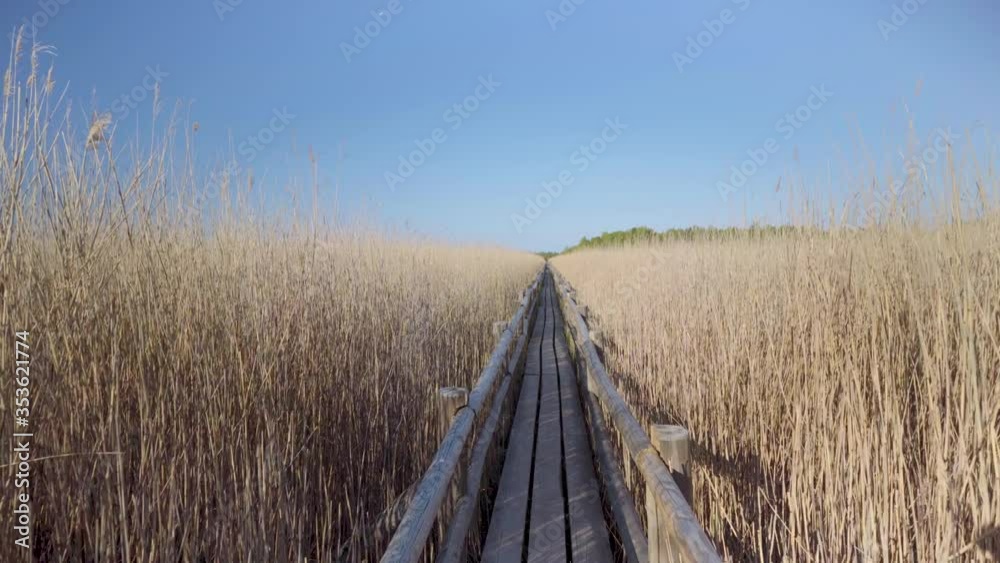 Path from wooden boards along the flooded shore of the shallow Lake Kaniera in the Kemeri National Park of Latvia Path from wooden boards along the flooded shore of the shallow Lake Kaniera in the Kemeri National Park of Latvia