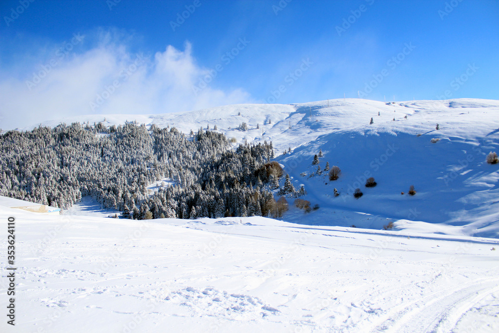 Great snow view in a cold winter day in Uludag, Bursa, Turkey. Ski resort. Great snow view in a cold winter day in Uludag, Bursa, Turkey. Ski resort.